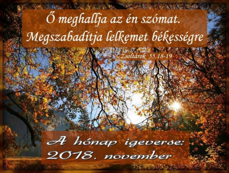 2018 - november hónap igeverse